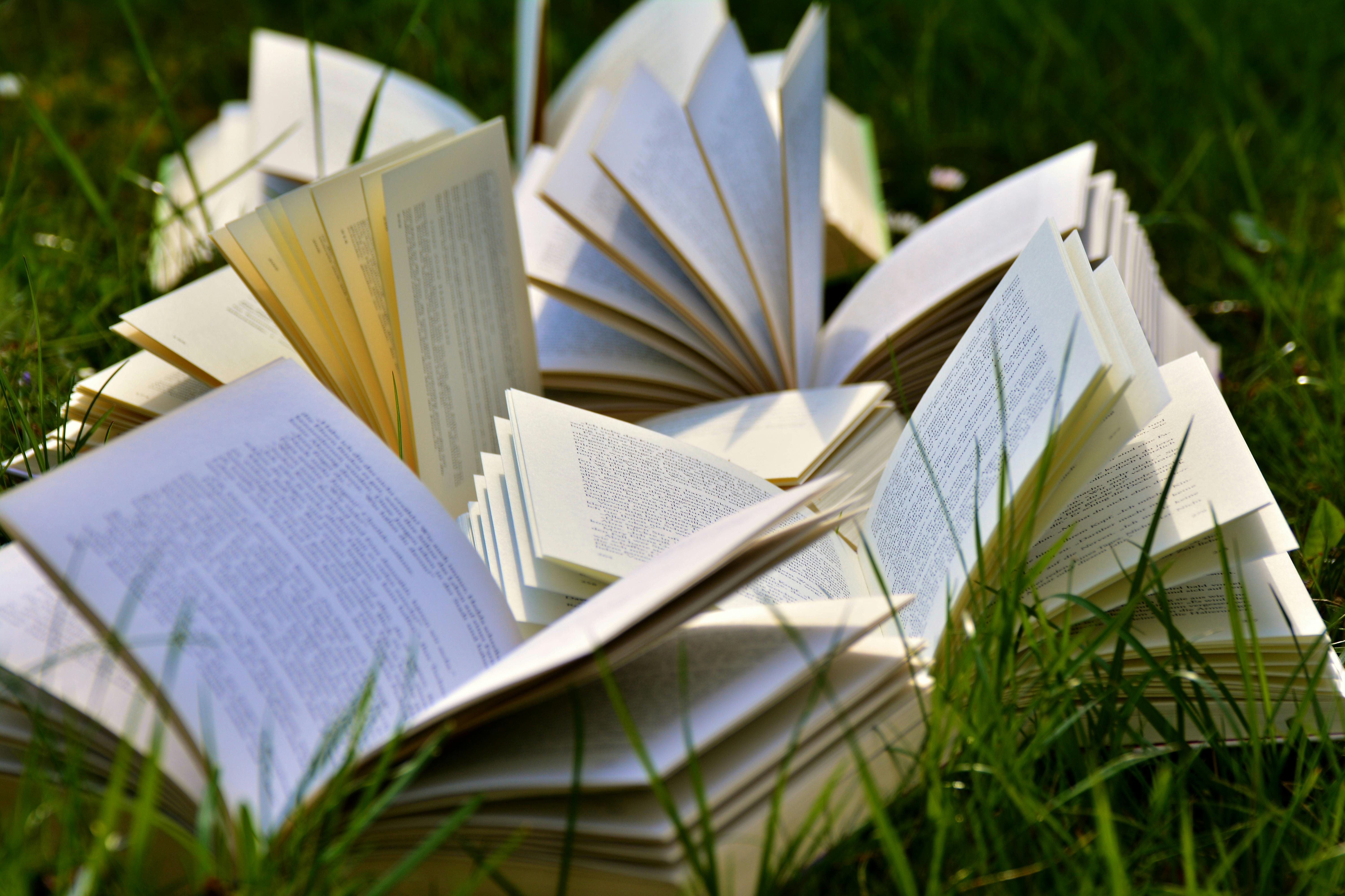 Libri all’aria