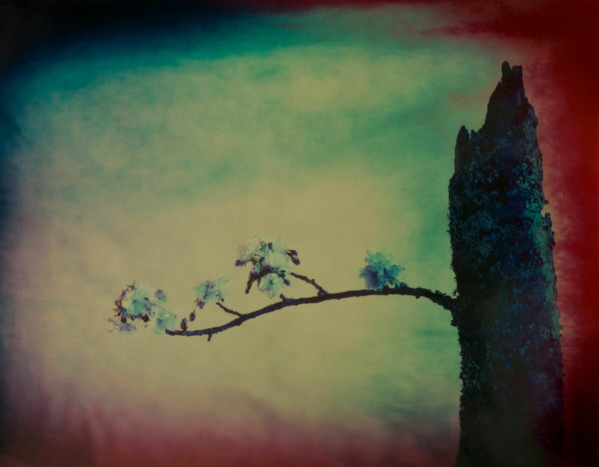 Into the Mix – Mostra fotografica di Toni Meneguzzo