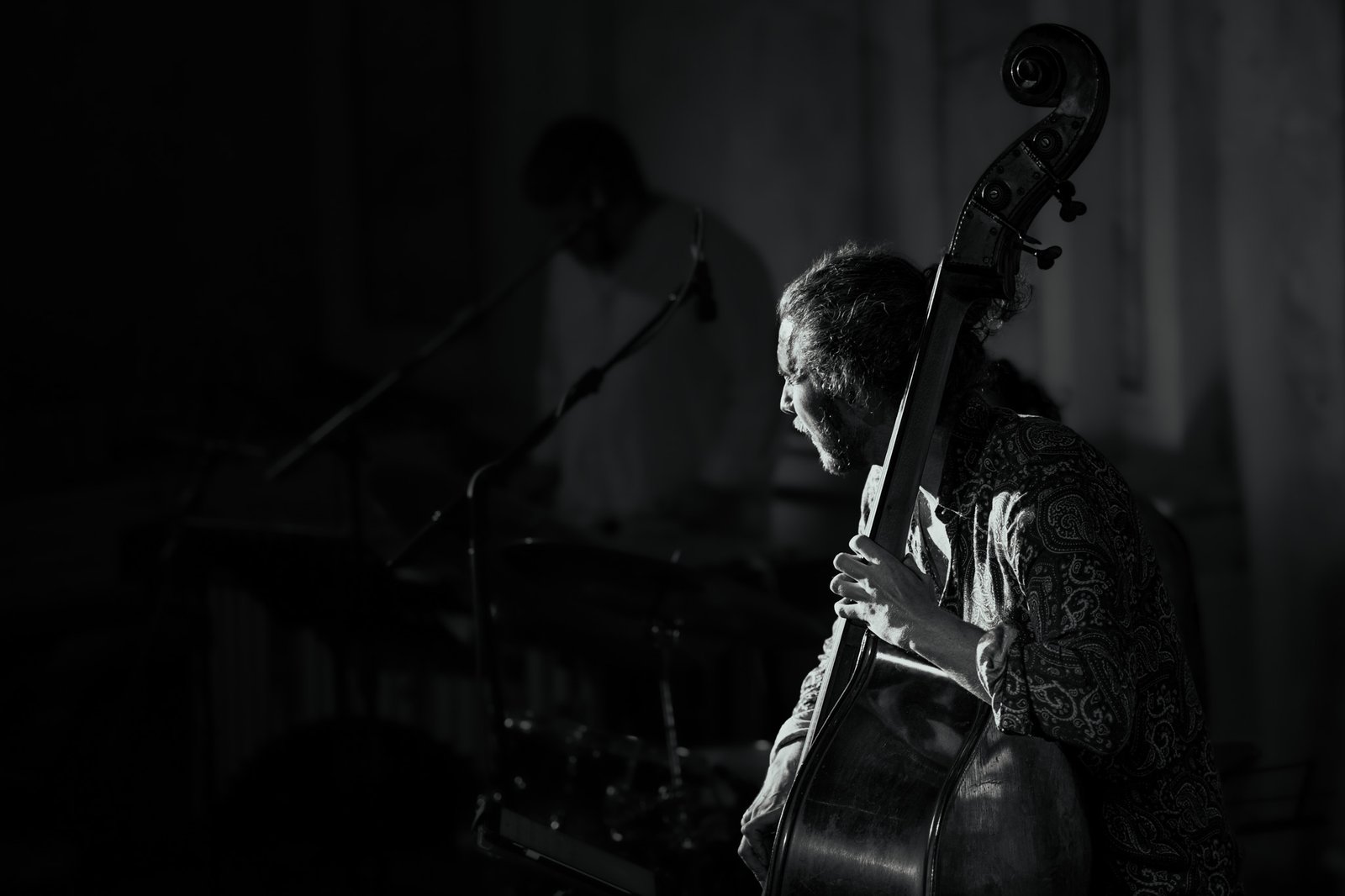 Tracce di jazz: il suono dell'immagine 